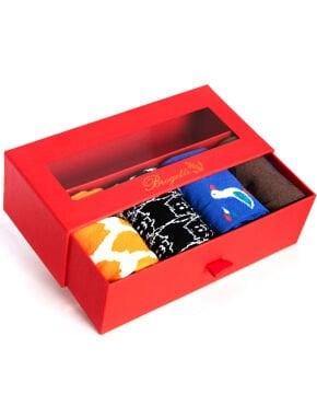 4lü Paket Sevimli Hayvan Desenli Erkek Soket Çoraplar