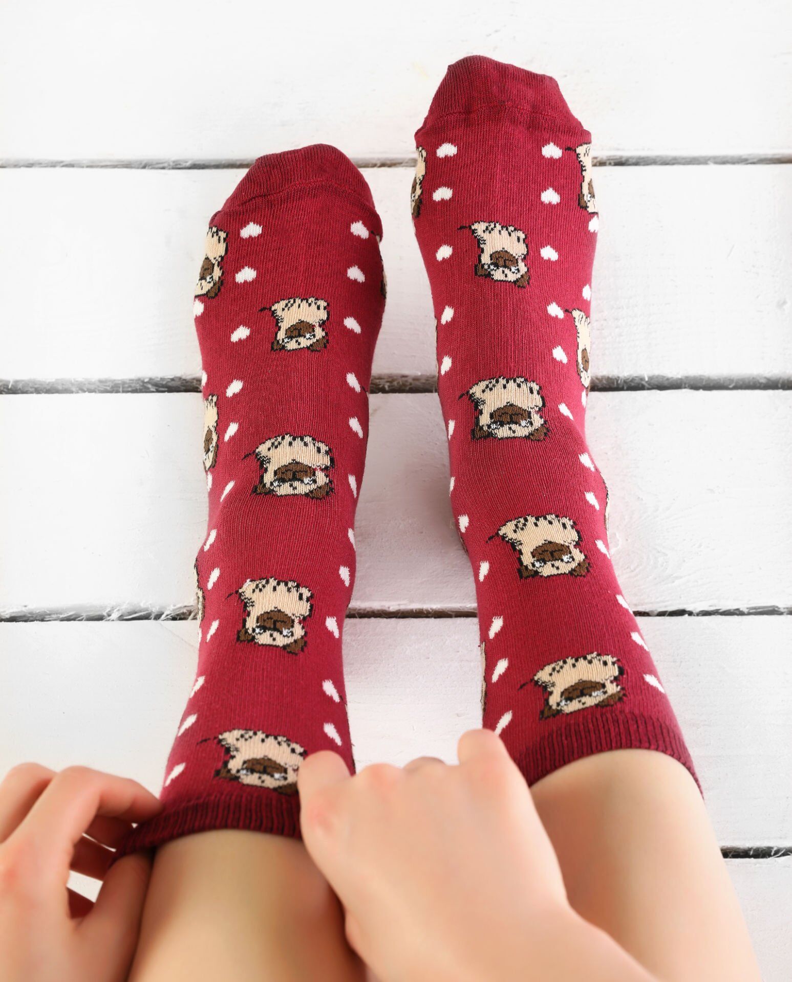Bordo Pug Çorabı Beyaz Kalpli RENKLİ - 35/39