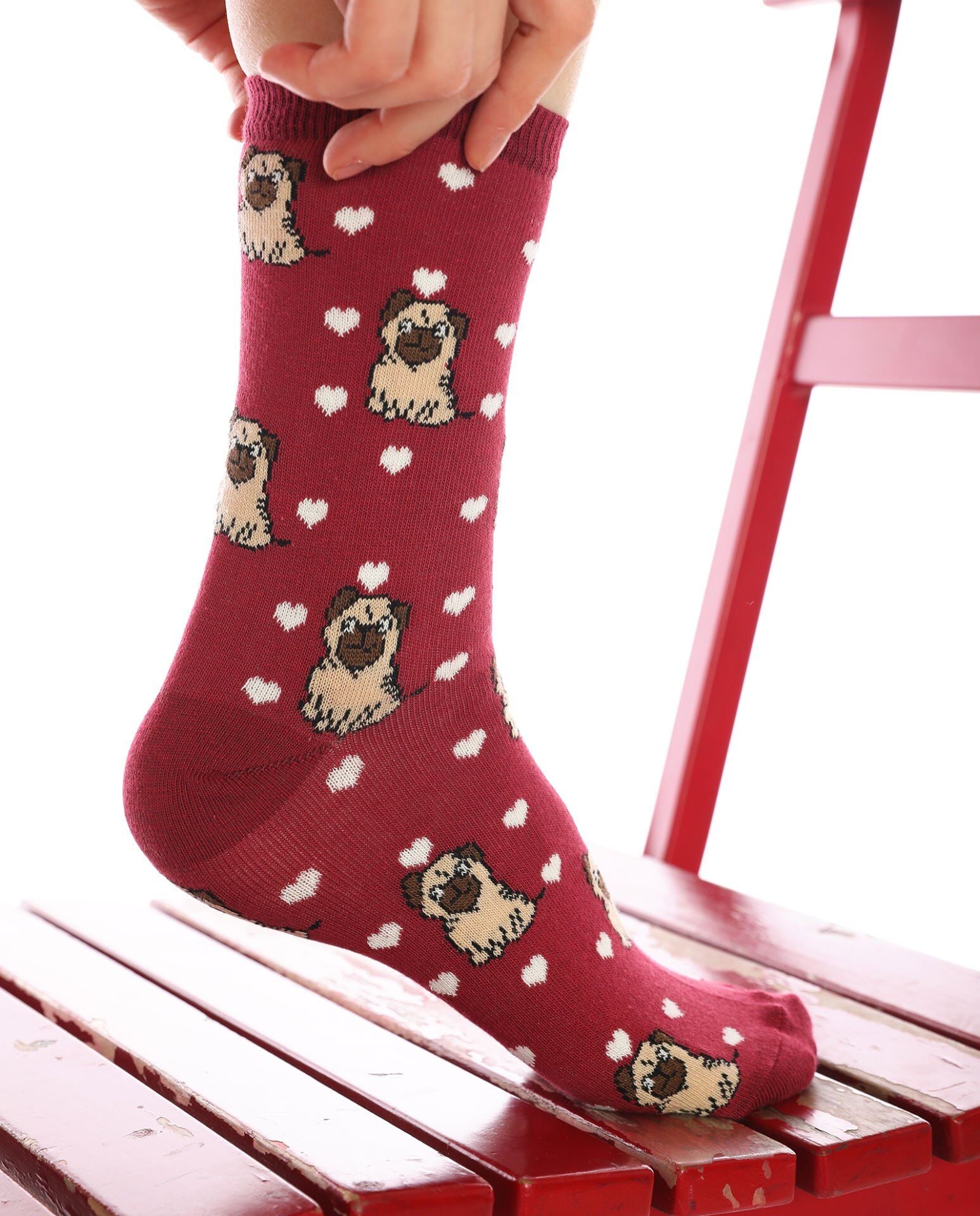 Bordo Pug Çorabı Beyaz Kalpli RENKLİ - 35/39