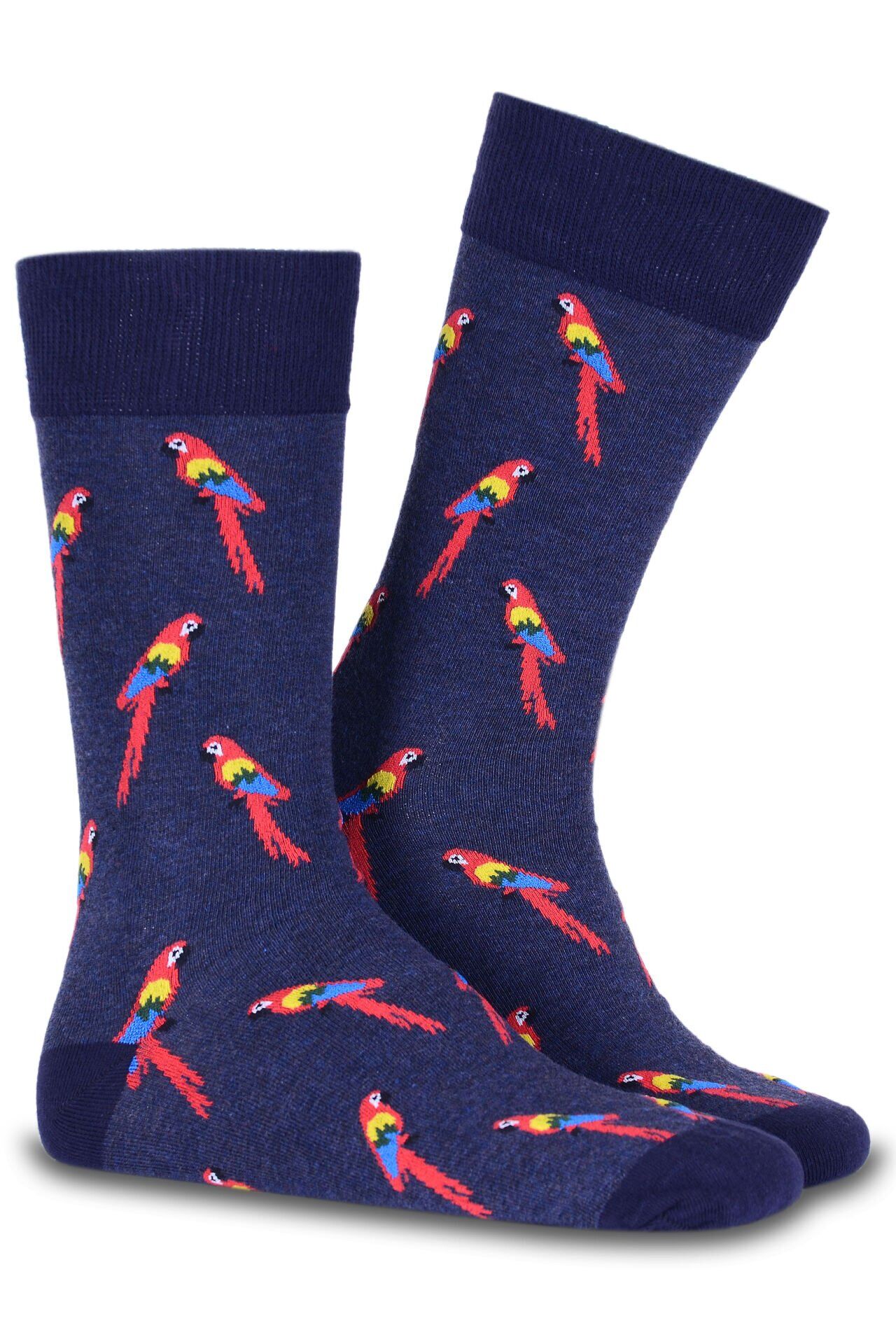 Antrasit Kırmızı Papağan Desenli Soket Çorap Daniel