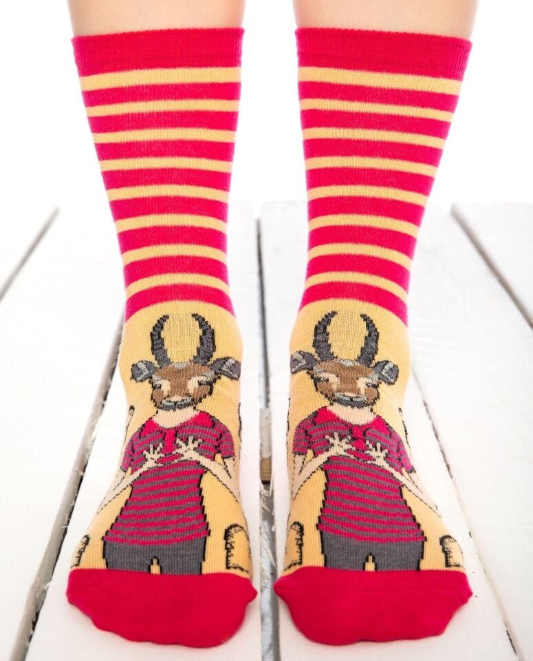 Ceylan Kafası Desenli Kadın Soket Çorap