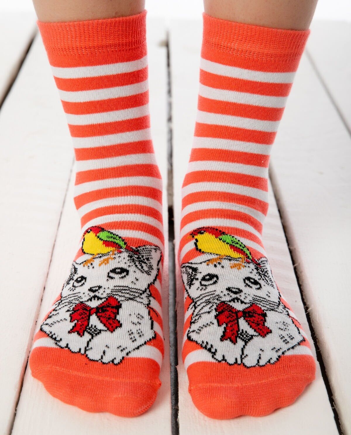 Kedi ve Kuş Desenli Soket Çorap