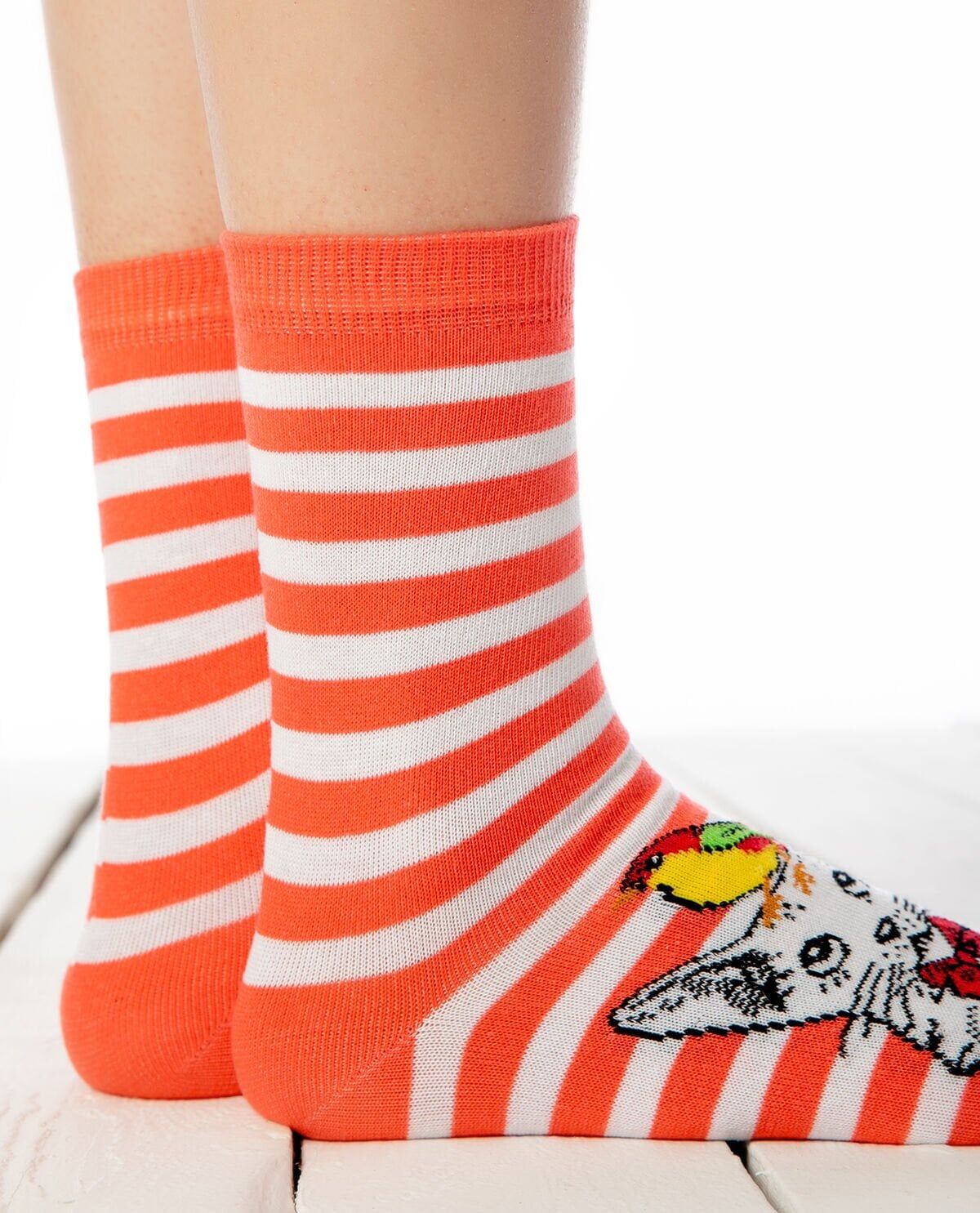 Kedi ve Kuş Desenli Soket Çorap